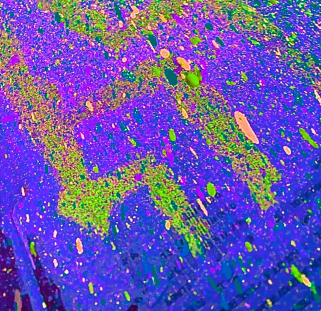 Trippy Abstractions tweet media
