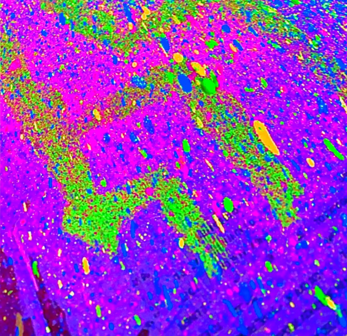 Trippy Abstractions tweet media