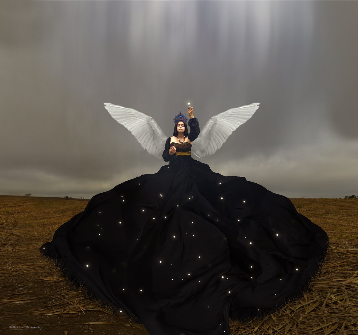 The queen of the swans 0.15 $ETH 
 She lives in a dreamlike reality, where the souls of broken dreams swarm in the air.
opensea.io/assets/ethereu…
#NFTCommunity #NFTs #nftcollector #NFTGiveaways