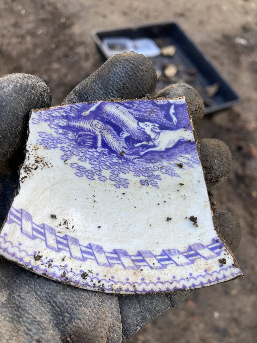 squidjum's tweet photo. Doggies seem to like me at the moment. #DogsofTwittter #Archaeology #historicalarchaeology #ceramic #sherd #19thcentury #fieldwork #dog https://t.co/lsKFgmJ9BT