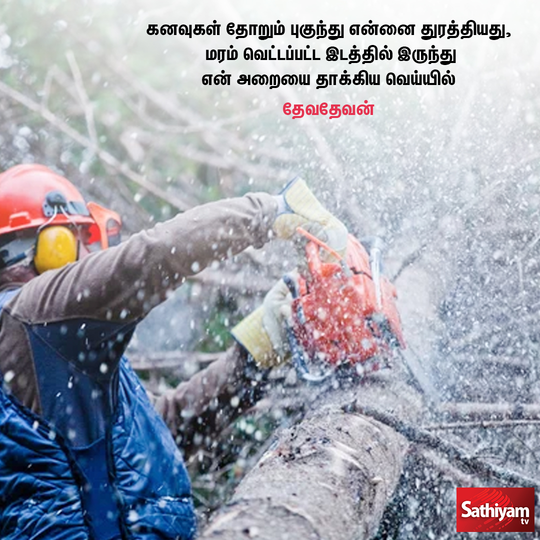 sathiyamnews's tweet photo. கனவுகள் தோறும் புகுந்து என்னை துரத்தியது,
மரம் வெட்டப்பட்ட இடத்தில் இருந்து என் அறையை தாக்கிய வெய்யில்
-தேவதேவன்
#devadevan #writer #quote #quoteoftheday #quotesoftheday #Tamil #TamilNadu #TamilCinema #dreams #trees #kavithai #sathiyamtv #sathiyamnews https://t.co/KPWd6YIouW