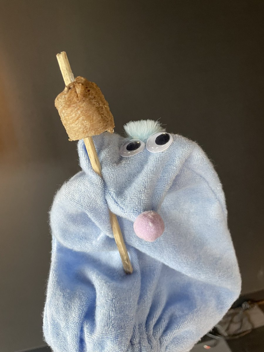 hakasenomushi's tweet photo. おでん、うまあ〜い🍢　
じゃなくて、カマキリの卵嚢だよ。
#カマキリ
#はかせのむしむしちゃんねる 
#ハッチュ 
#昆虫 https://t.co/3iXkSKHWet