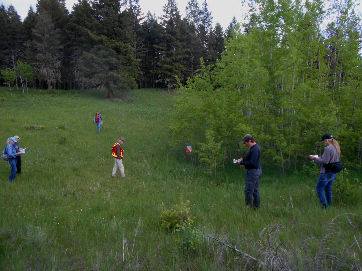 CC_Orienteering's tweet photo. New CCOC members receiving instruction in compass use and map reading on a beautiful Wednesday evening. 

Maps compasses and 🐻 🧸🧸 provided😁 https://t.co/U9YBqX4cIi