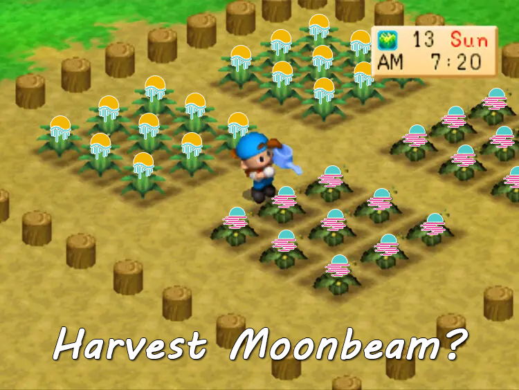 classicalism's tweet photo. @MoonbeamNetwork 

Since I was playing Harvest Moon when I was young. Here is my #HarvestMoonbeam at my first thought. 🤣

What about yours? 

#MoonbeamAmbassador Don't forget to share your idea and get ready for the great Defi Summer coming. ☀️🧑‍🌾🌽 https://t.co/3eSfnS8NrJ