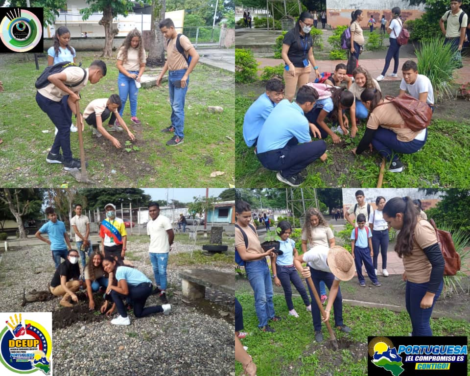 #01jun Conservando el planeta en #esteller  voceros de la #obeesteller siembran árboles @MPPEDUCACION <a href="/yelitzePSUV_/">Yelitze Santaella</a> <a href="/NicolasMaduro/">Nicolás Maduro</a> <a href="/DGCE_MPPE/">D.G. Comunidades Educativas 🇻🇪</a> @ZEPortuguesa <a href="/PrimitivoPsuv/">Antonio Primitivo Cedeño</a> <a href="/MariaM_PSUV/">Maria Morillo PSUV</a> <a href="/yanmarrojasven/">yanmarrojasven</a> #PrimitivoGobernador #educacion
#portuguesa #PortuguesaElCompromisoEsContigo