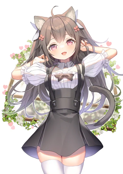 🐈 