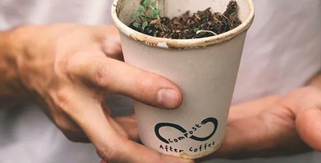 PKNpackagingmag's tweet photo. Australian start-up #CompostableAlternatives has collaborated with #ClosedLoopEnvironmentalSolutions and @RespCafes to produce a #CertifiedHomeCompostable #CoffeeCup and lid https://t.co/INlwddQhbK https://t.co/ip1zcXjUtA