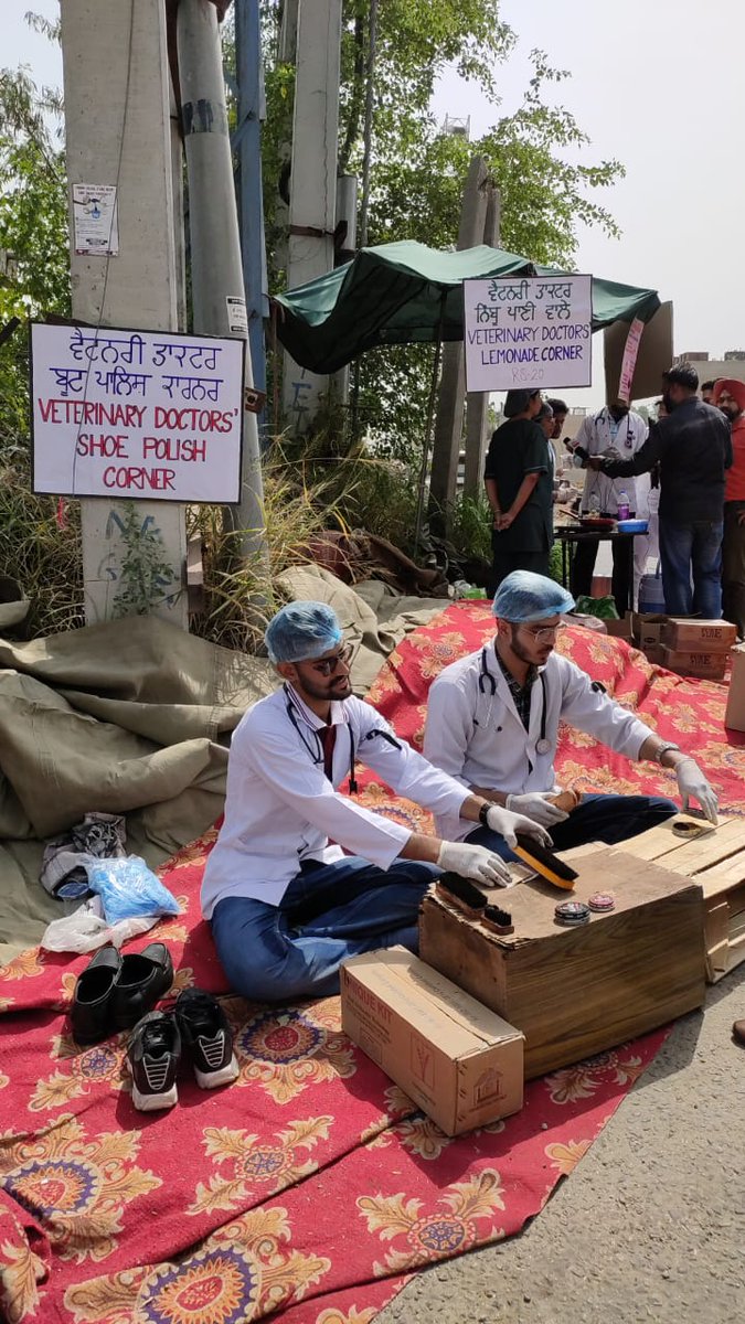 GadvasuVetUnion's tweet photo. Day-5 of protest for #IncreaseInternshipAllowance
By students of Gadvasu,Punjab and BVC , Bihar.
#Gadvasuvetunion 
#Gadvasustudentsonstrike 
#IncreasePgFellowship 
@BhagwantMann @KuldeepSinghAAP @PunjabGovtIndia @AAPPunjab @Murugan_MoS @narendramodi @PMOIndia @CMOPb @NitishKumar https://t.co/inpOYfgPFF