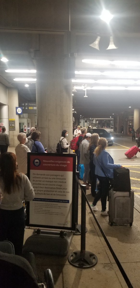 Edible Grasshopper tweet media