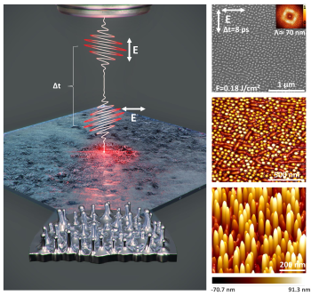 biomim'expo (@biomimexpo) on Twitter photo Un nouveau procédé #laser qui ouvre des perspectives pour la génération de pics "tueurs" de #virus et #bactéries <a href="/LabHubertCurien/">Laboratoire Hubert Curien</a> <a href="/Univ_St_Etienne/">Université Jean Monnet Saint-Étienne</a> <a href="/CNRS/">CNRS 🌍</a> <a href="/InstitutOptique/">Institut d'Optique</a> bit.ly/3xlEwTP #Nature #biodiversité #biologie #nanostructures #surfaces #biomimétisme #Biomimexpo Un nouveau procédé #laser qui ouvre des perspectives pour la génération de pics "tueurs" de #virus et #bactéries <a href="/LabHubertCurien/">Laboratoire Hubert Curien</a> <a href="/Univ_St_Etienne/">Université Jean Monnet Saint-Étienne</a> <a href="/CNRS/">CNRS 🌍</a> <a href="/InstitutOptique/">Institut d'Optique</a> bit.ly/3xlEwTP #Nature #biodiversité #biologie #nanostructures #surfaces #biomimétisme #Biomimexpo