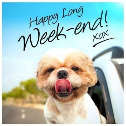 starter_homes's tweet photo. Happy Long Weekend!!!
We offer #clients a very #personaliseddesign & #buildprocess. We love to make sure the TINY
HOUSES we build meet our client’s needs.
START YOUR JOURNEY https://t.co/KEh7xzlgd4
Less #House - More #Home! https://t.co/W13ryMZe9w