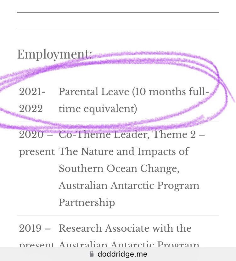 Finally found a quiet moment to update my CV with the single most meaningful and important line it’s ever had. 
#AcademicChatter #StayAtHomeDad