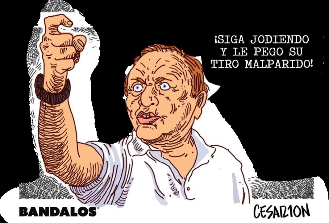 MaAndrsca's tweet photo. @fedecampecol https://t.co/QSderGXMD0