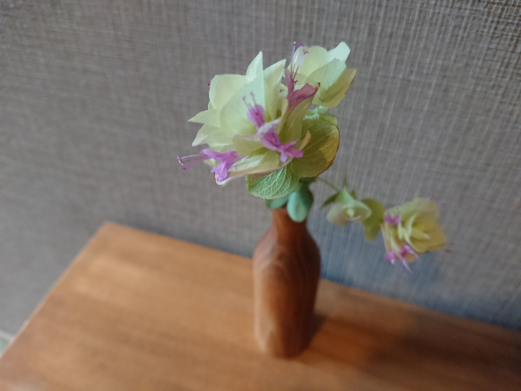 花オレガノ Twitter Search Twitter
