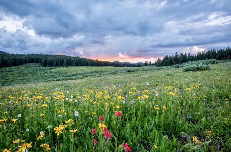 dawnclerkson's tweet photo. June  is Great Outdoors Month. 

If you go outside to a green space every day to exercise or to enjoy your surroundings for just a few minutes, it could help improve your health &amp; wellbeing. Try a mindful walk, using all your senses to appreciate the beauty of the natural world. https://t.co/upPioRU5pr