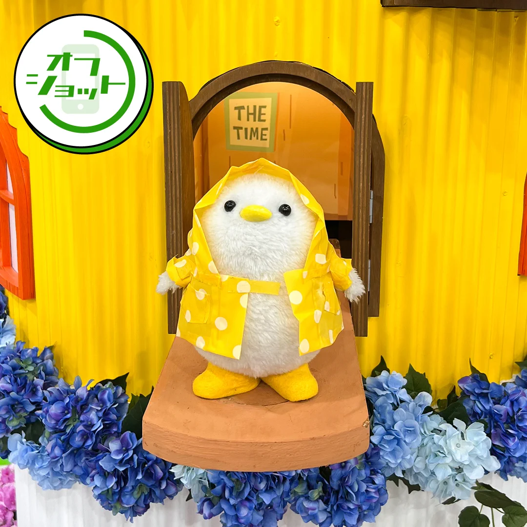 TBS『THE TIME, 』 on X: 