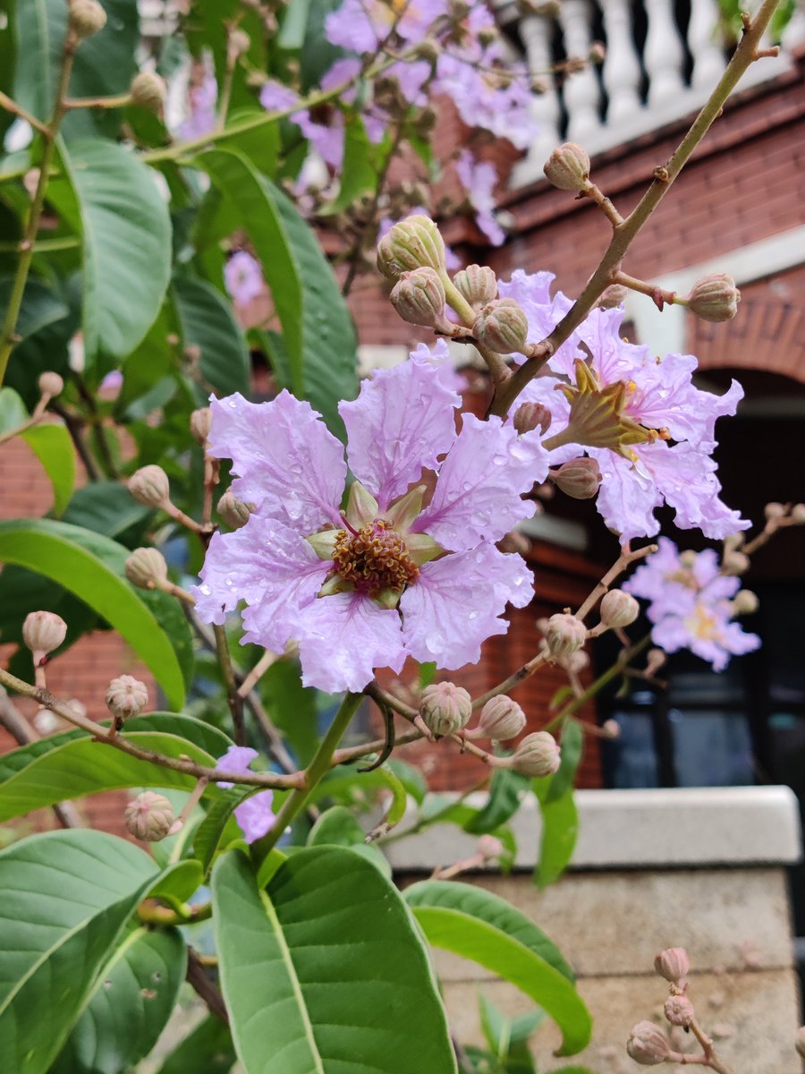 cppcoffee's tweet image. 假装在鼓浪屿