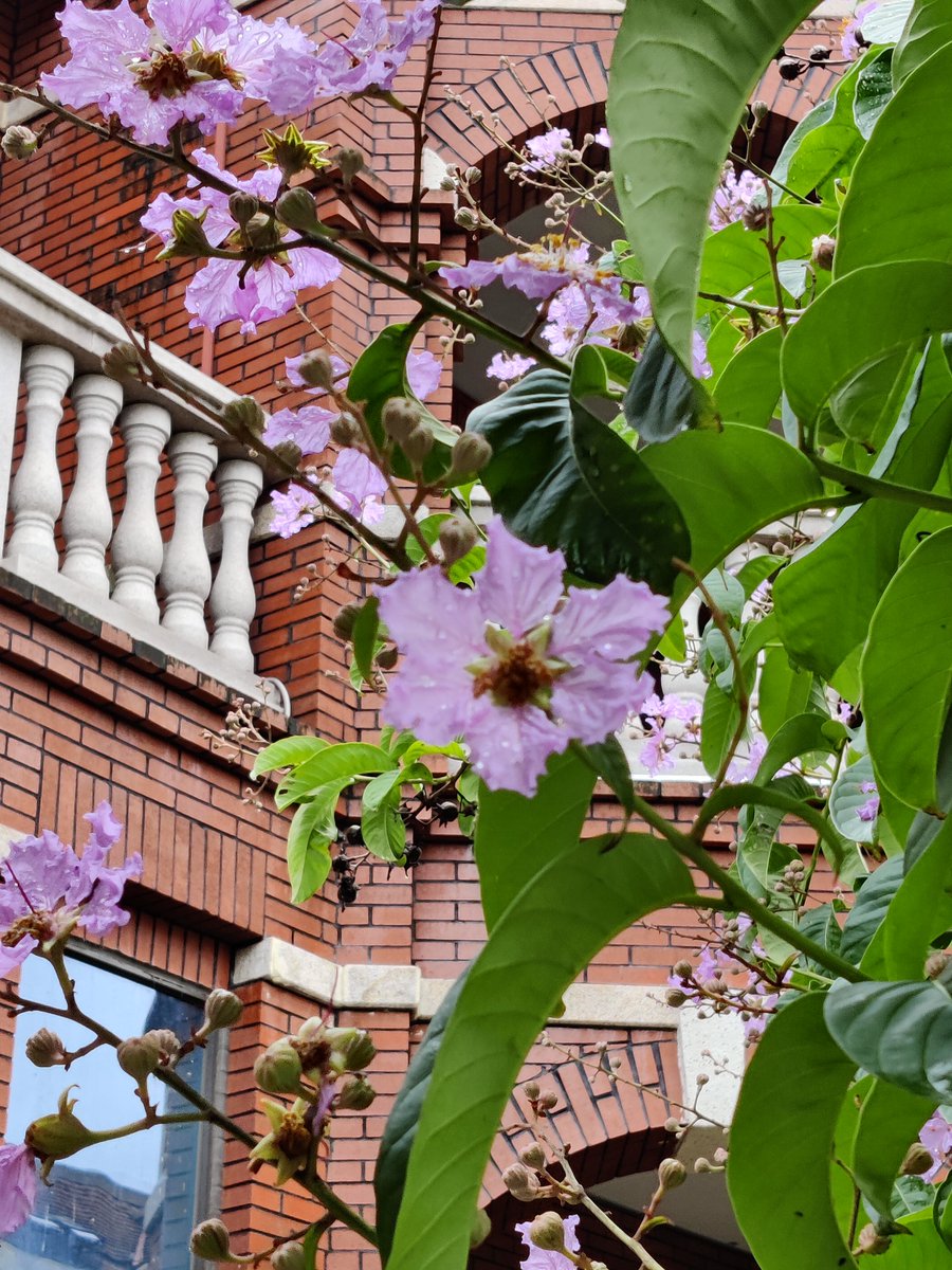 cppcoffee's tweet image. 假装在鼓浪屿