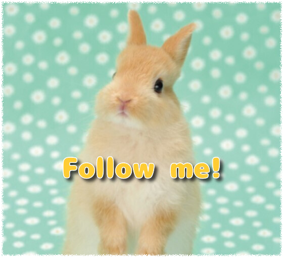 良かったらフォローお願いします(*^-^*) 
https://
