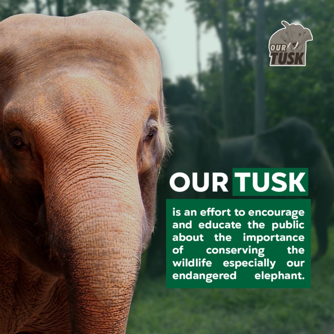 ourtusk tweet picture