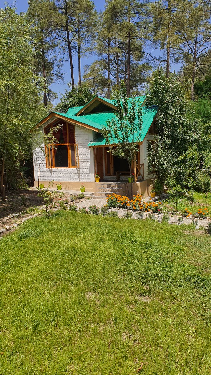 TFETIRTHAN's tweet photo. The Forest Edge, Tirthan Valley https://t.co/zfkrpUu0mu