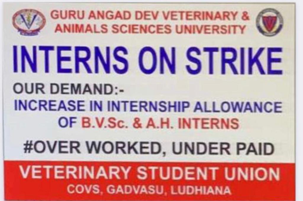 RakeshKarwa15's tweet photo. #increasinternshipallowance
#Gadvasuvetunion https://t.co/yGWuWltrkD