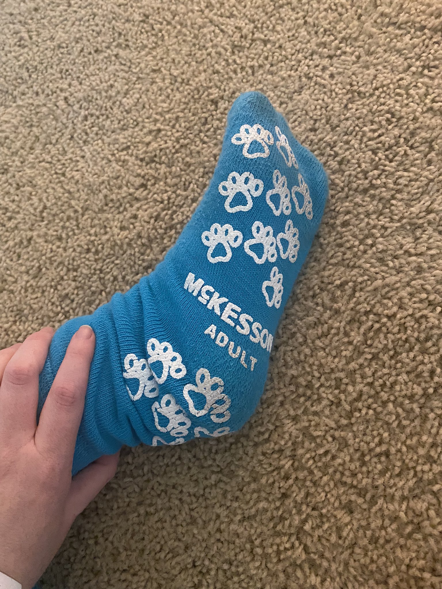 illy 🍉 on X: grippy socks? no. drippy socks. they got little pawprints on  em  / X