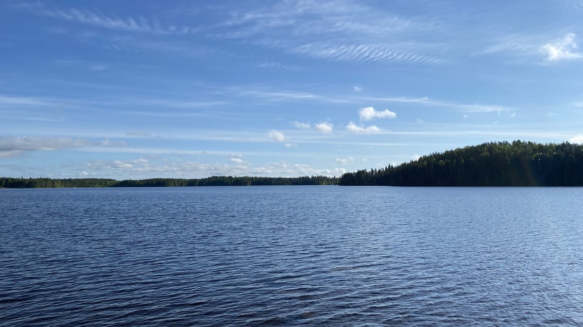 katjajrasanen's tweet photo. 86 🇺🇦- blue-white sky, gentle breeze
Sound: Redwing
Sight: Common gull
- being away from the city &amp; by a lake, the forests are steaming with bird songs that merge to a wonderful multidimensional soundscape #FirstOfTheDay #birds #hope #PeaceforUkraine https://t.co/BYRRaFsHrC