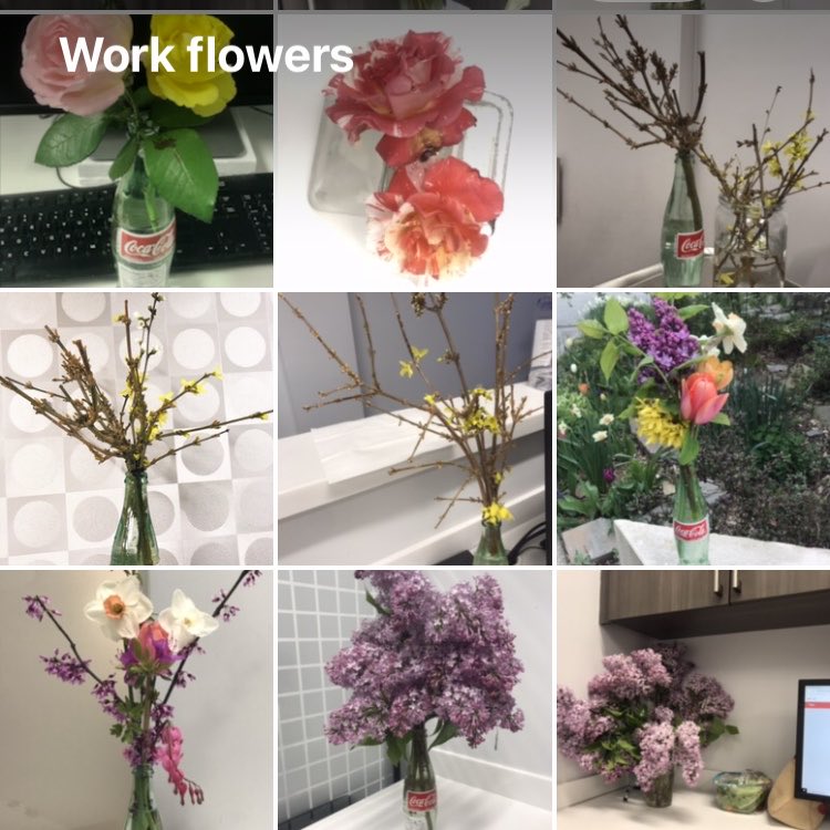 MichaeliLaura's tweet photo. @NabihahKumte Happy for you!!

💐 help me through the day,
receiving more attention here
than in my garden
#MedHumChat 
#DoctorsWhoCreate https://t.co/m111f3NFpW