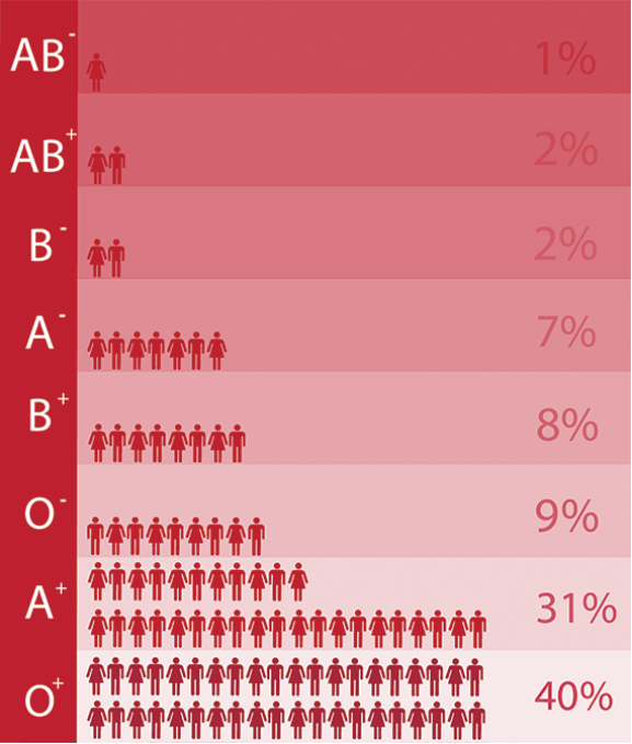 acereduau's tweet photo. Ahead of World Blood Donor Day on 14 June, today's #DataVizFriday share, courtesy of @Science_Academy, shows the breakdown of different blood types in Australia.
See the original: https://t.co/z2tIGOsqo0
Find out more about #WorldBloodDonorDay : https://t.co/qefD5thBmi https://t.co/FggMxAobN8