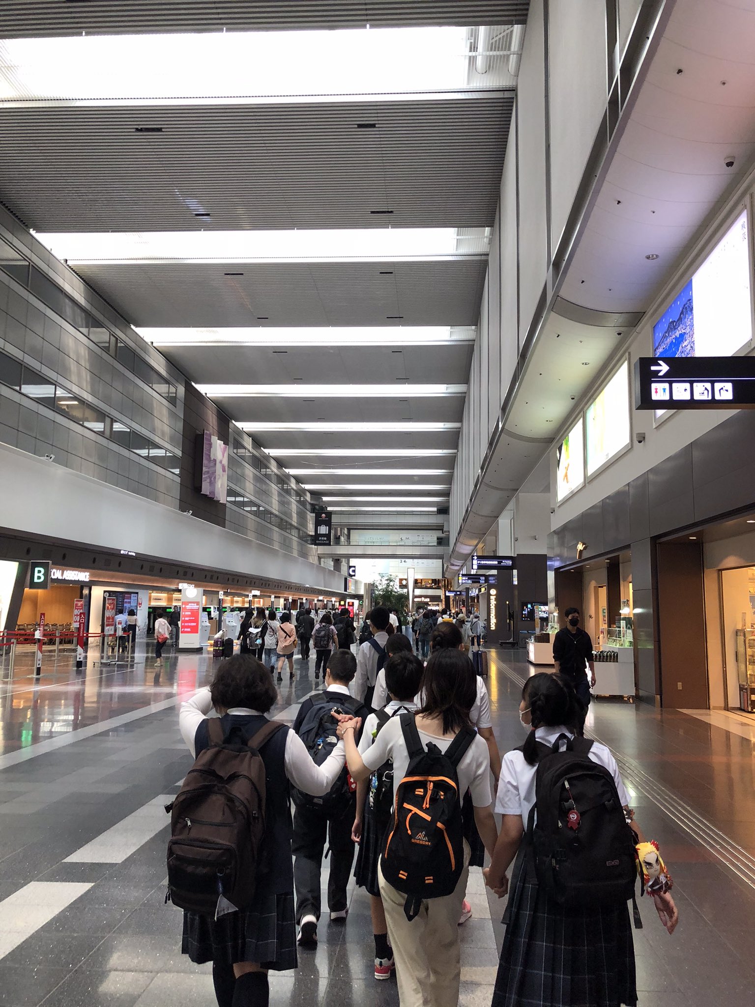 東京都立白鷺特別支援学校 on Twitter