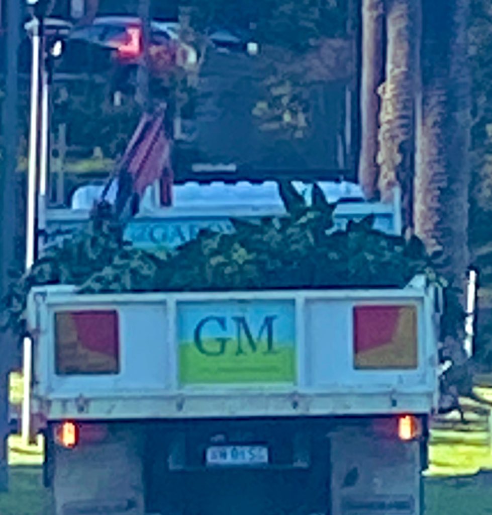 GM WEB3 fam! 🌅🌅🌁

Hope you’ve made some green this week. How are you going to spend it this weekend? 

#gm #cryptolife #web3 #NFTCommunity #NFTfamily