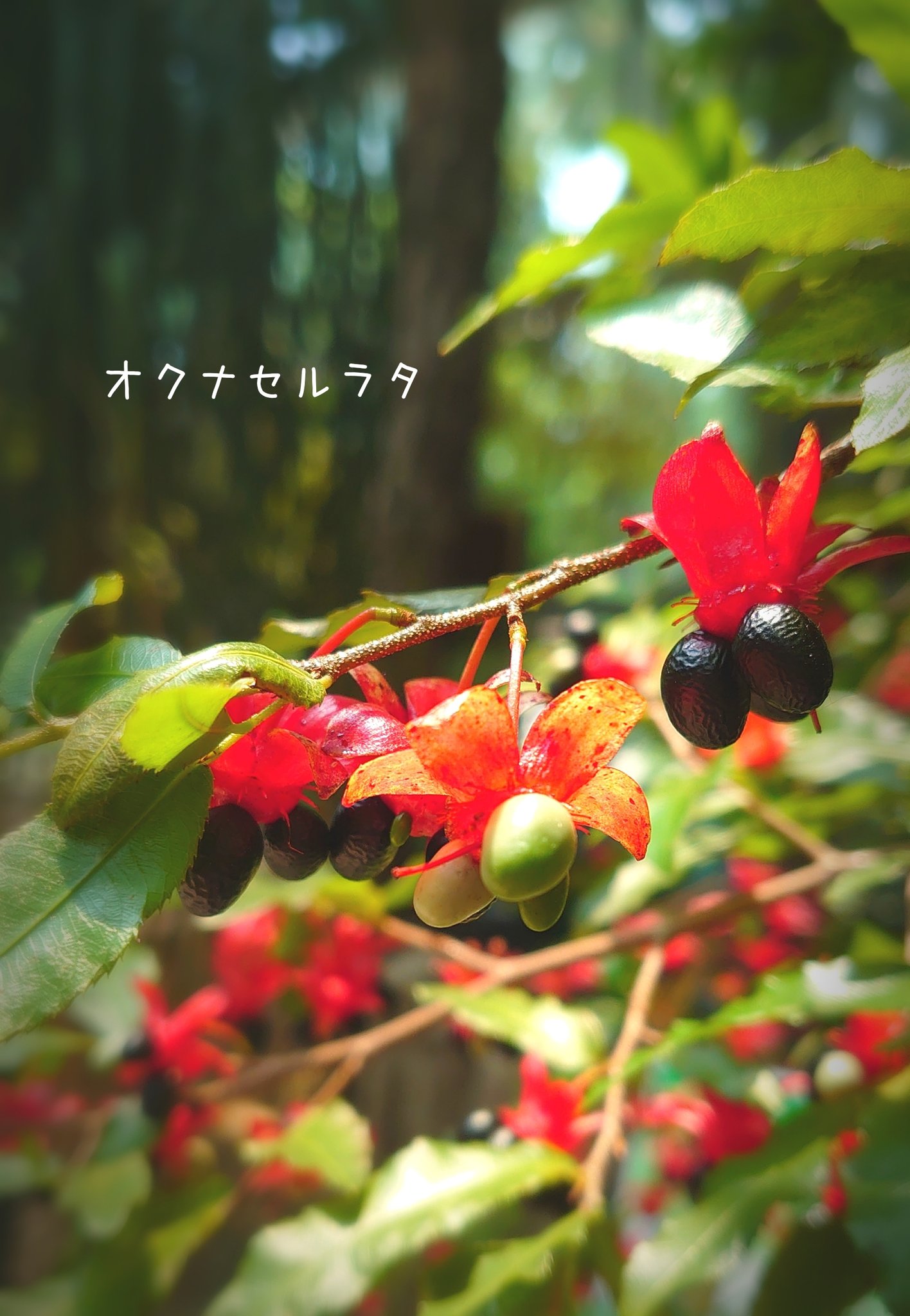 戸田川緑地公園 Twitter Search Twitter
