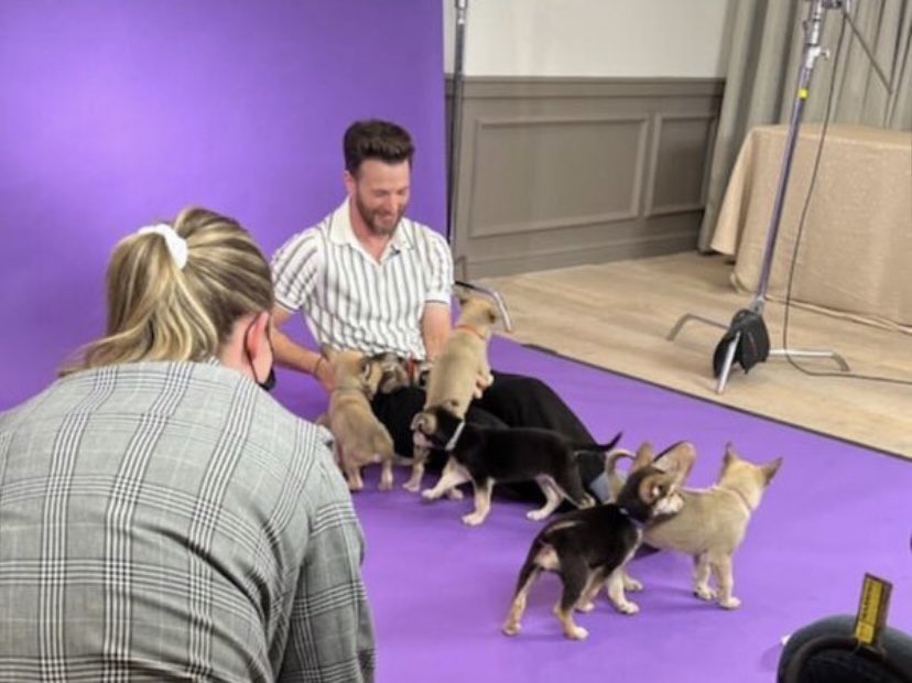Chris Evans News tweet media