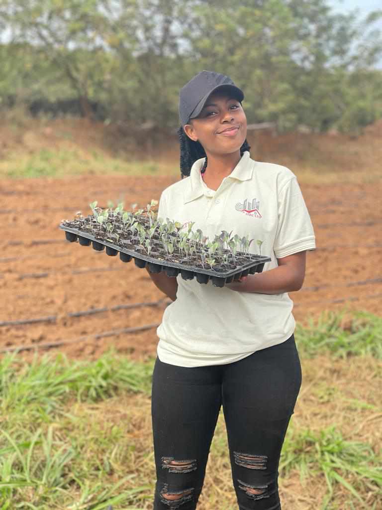 p_dusabimana's tweet photo. Farming is a profession of hope https://t.co/j4k71ZIkdK