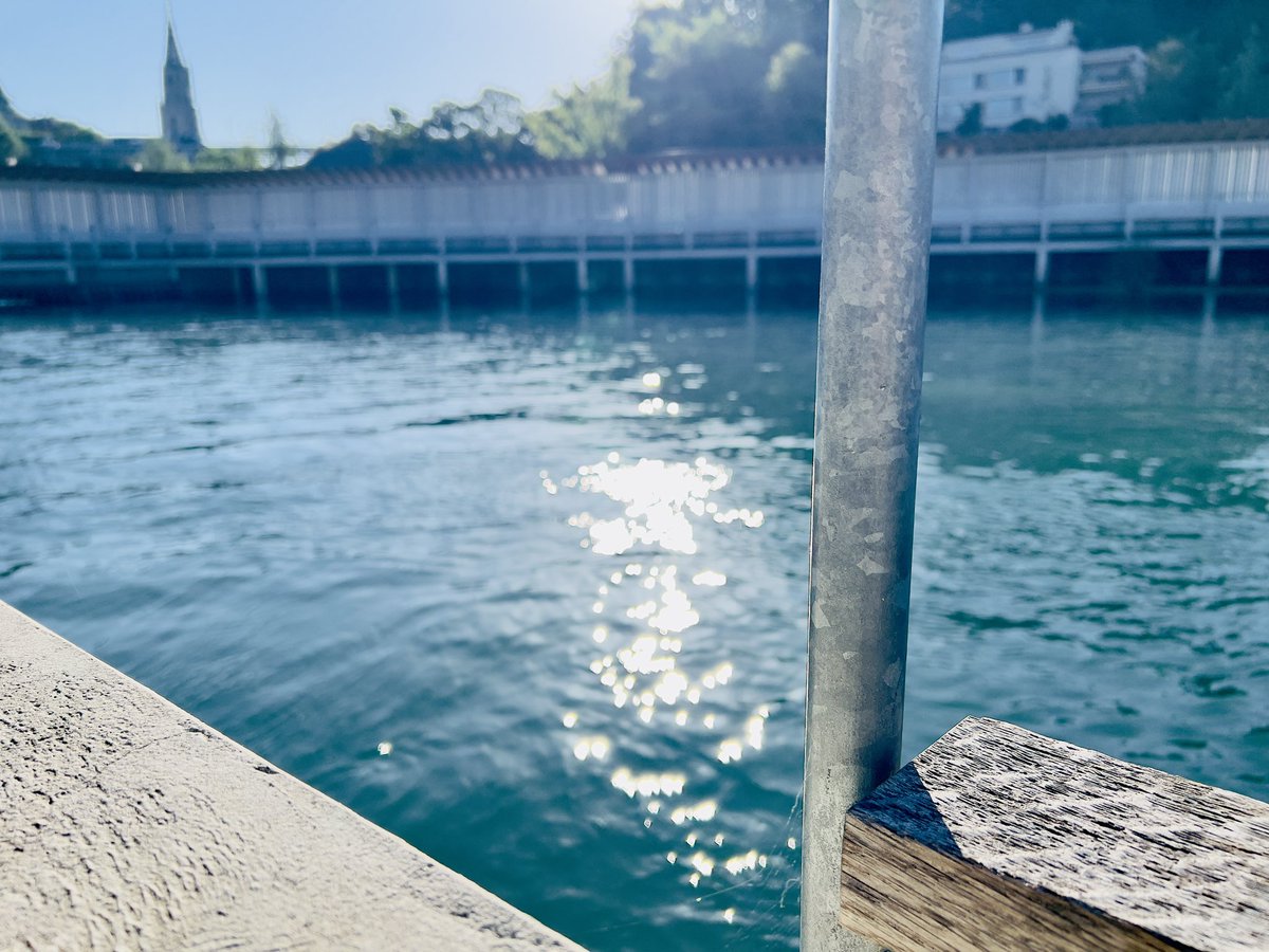 LeaKusano's tweet photo. early morning #fridayswim https://t.co/bfziq7qz1V