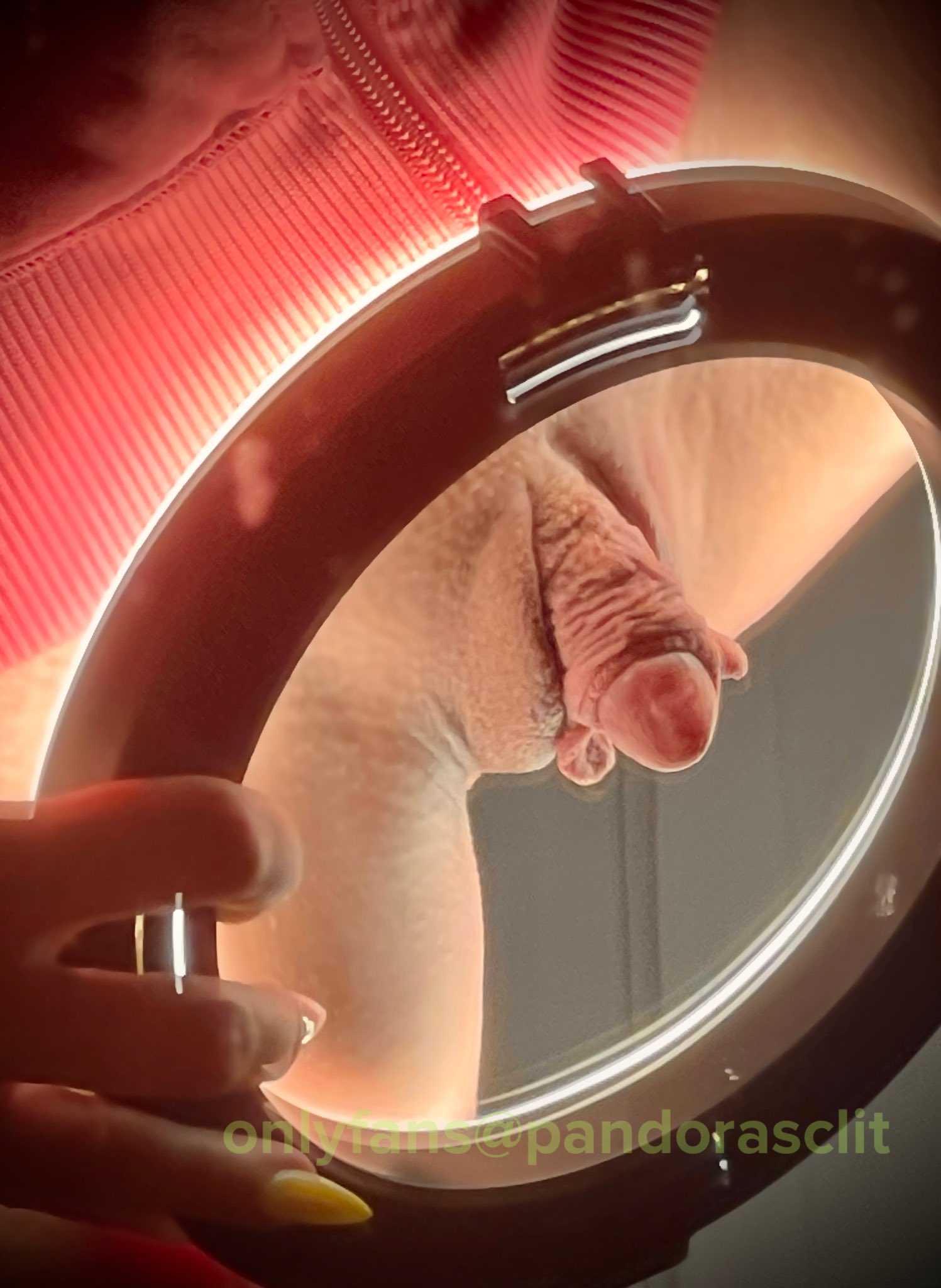 I consider myself a big clit photojournalist. I’ll open your mind to the urge. Come to the clitty Lounge where all your cares go away… #exhibition #bigclit #bigclitextreme #BigClitEnergy #hotwifing #clitfreaks #clitdick #clitonclit Full vids at onlyfans@pandorasclit ❤️ https://t.co/jJgN11XSv5