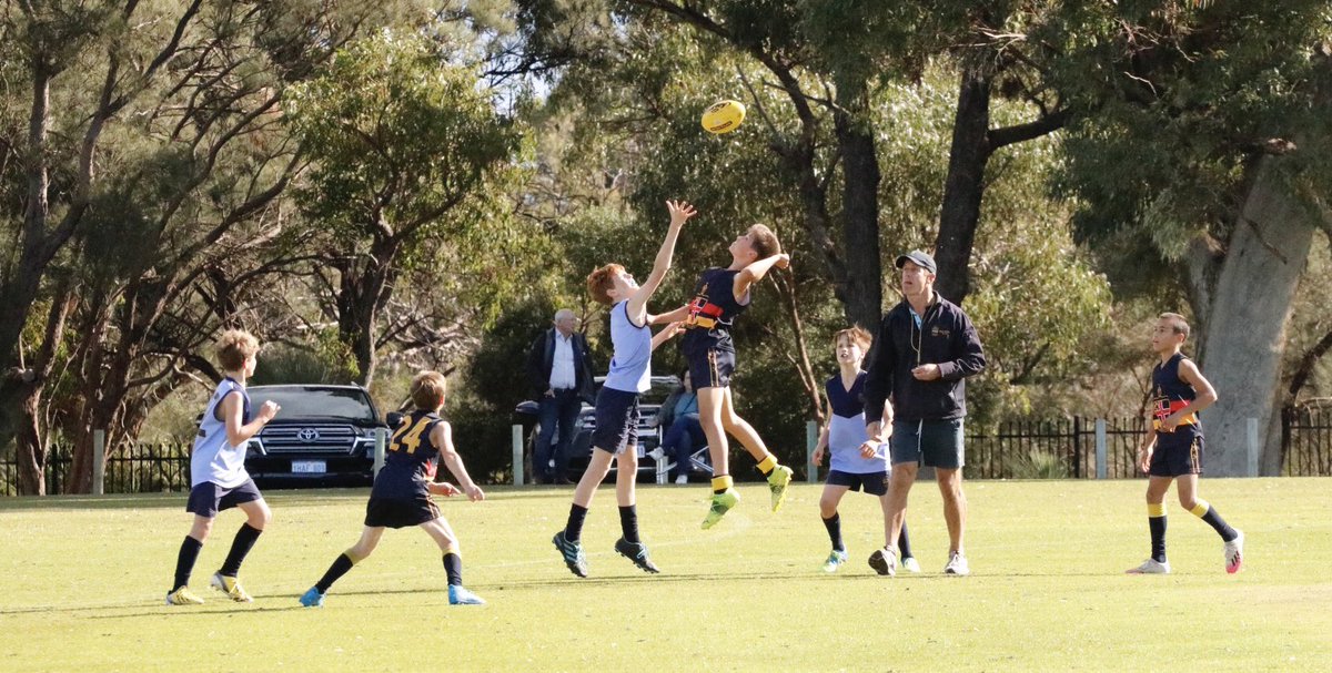 CCGS Sport tweet media