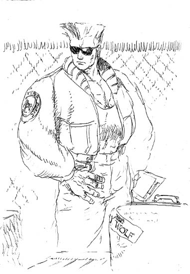 飛び込み大パンチアッパーソニック裏拳 