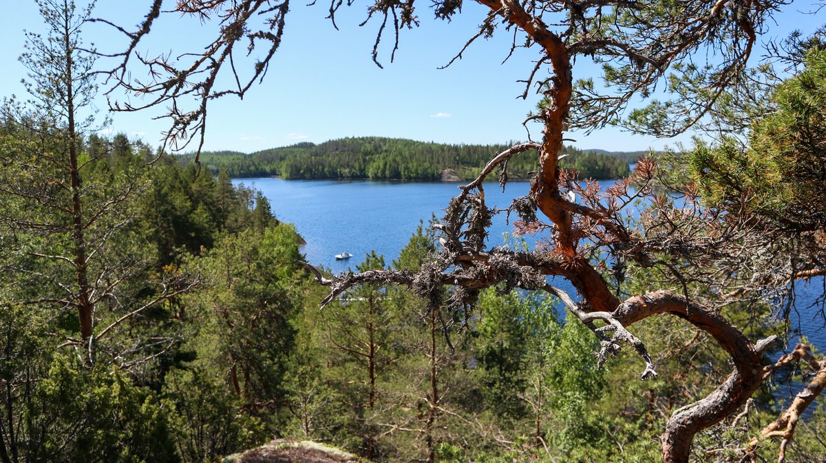 Saimaa UNESCO Global Geopark tweet media
