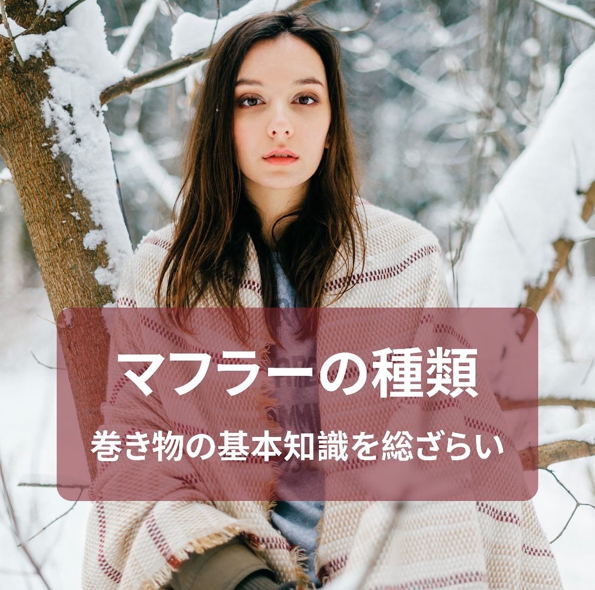 Sun Caddy Caddy Sun Twitter