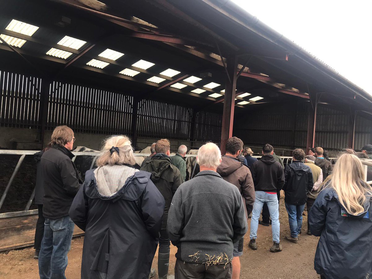 nongwilliams's tweet photo. P’nawn diddorol yn Nhy Draw ddoe / A very interesting afternoon at Ty Draw, @FarmingConnect Focus Site yesterday discussing improving grasslands, animal health and nutritional requirements - diolch @farmermat1! 🌱🐑🐮
#DemoNetwork #OurFarms https://t.co/01KO9XDc5E