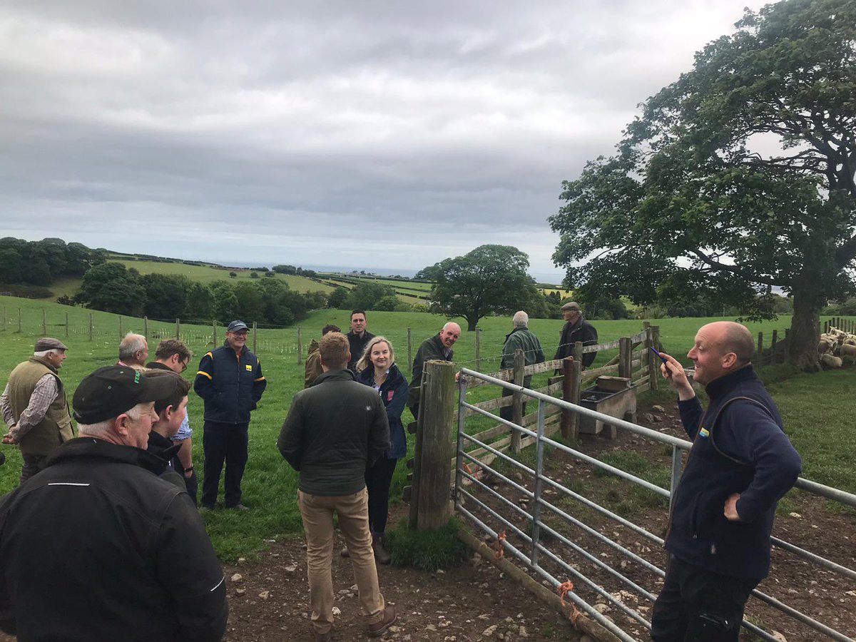 nongwilliams's tweet photo. P’nawn diddorol yn Nhy Draw ddoe / A very interesting afternoon at Ty Draw, @FarmingConnect Focus Site yesterday discussing improving grasslands, animal health and nutritional requirements - diolch @farmermat1! 🌱🐑🐮
#DemoNetwork #OurFarms https://t.co/01KO9XDc5E