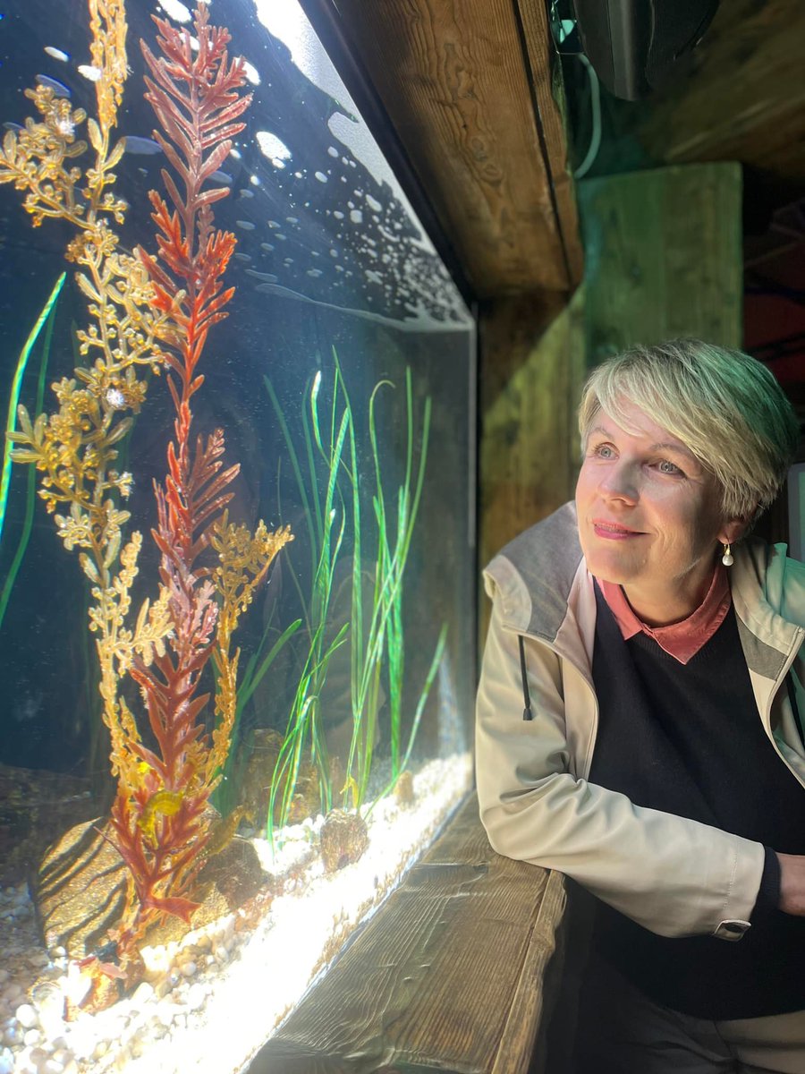 Today I met with staff at Sea Life Sydney and the Sydney Institute of Marine Science, two institutions who play an important role in the fight against extinction.