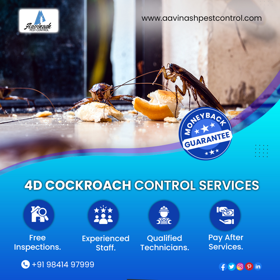 AavinashPest's tweet image. Tired of cockroaches? Aavinash Pest Control 4D solution is the best way to get rid of roaches in Chennai. Gel baiting, mint garbage bags, filling cracks &amp;amp; digital monitoring, get it all at 5% off!

📲 +91 98414 97999

🌍 aavinashpestcontrol.com

#4DCockroachControlService