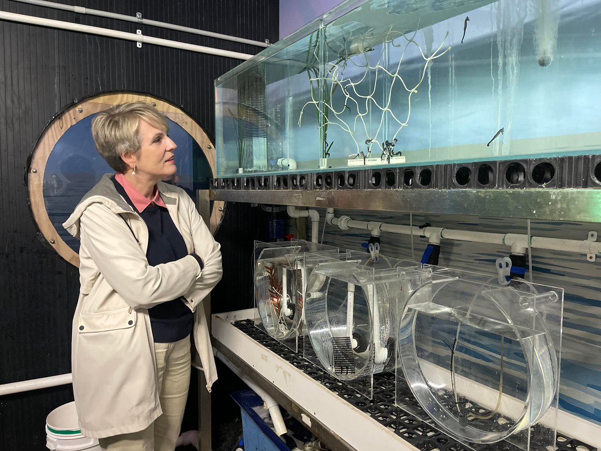 I stepped behind the scenes of the groundbreaking Seahorse Hotels which start as artificial habitats but are completely biodegradable so will grow into natural habitats once they are placed in the marine environment.