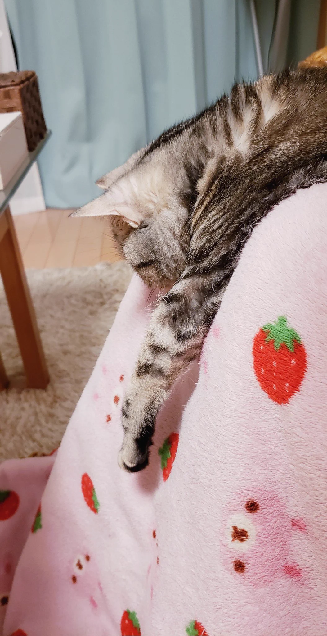 @hidekiccan うちのこも(笑)
なぜかいつも片方だけなんですよね😊 