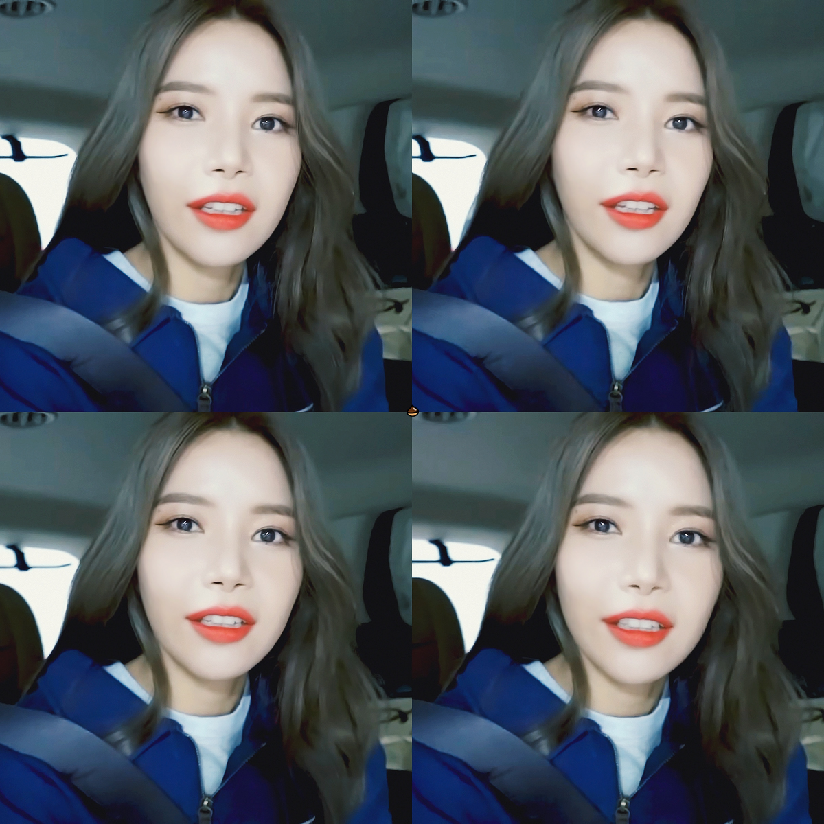 🐰