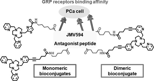 Raphaël Tripier & MAC Research Group (@rtripier) on Twitter photo Our new article in <a href="/Metallomics/">Metallomics</a> is now online! Bioconjugated chelates based on tacn, 64Cu labeling and in vitro evaluation for prostate cancer targeting.
Congrats to <a href="/AxiaMarlin/">MARLIN Axia</a> <a href="/HierlmIna/">Ina Hierlmeier</a> and great collaboration with #Mark_Bartholomä.
<a href="/UBO_UnivBrest/">UBO - Univ. Brest</a> @INC_CNRS <a href="/UMR_6521/">CEMCA - UMR CNRS 6521</a> Our new article in <a href="/Metallomics/">Metallomics</a> is now online! Bioconjugated chelates based on tacn, 64Cu labeling and in vitro evaluation for prostate cancer targeting.
Congrats to <a href="/AxiaMarlin/">MARLIN Axia</a> <a href="/HierlmIna/">Ina Hierlmeier</a> and great collaboration with #Mark_Bartholomä.
<a href="/UBO_UnivBrest/">UBO - Univ. Brest</a> @INC_CNRS <a href="/UMR_6521/">CEMCA - UMR CNRS 6521</a>
