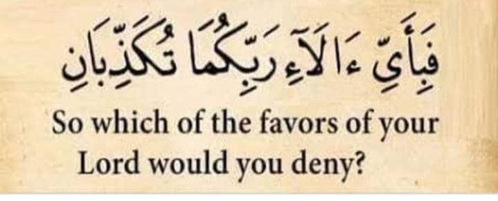 🇵🇰عابد علي🇵🇰 tweet media